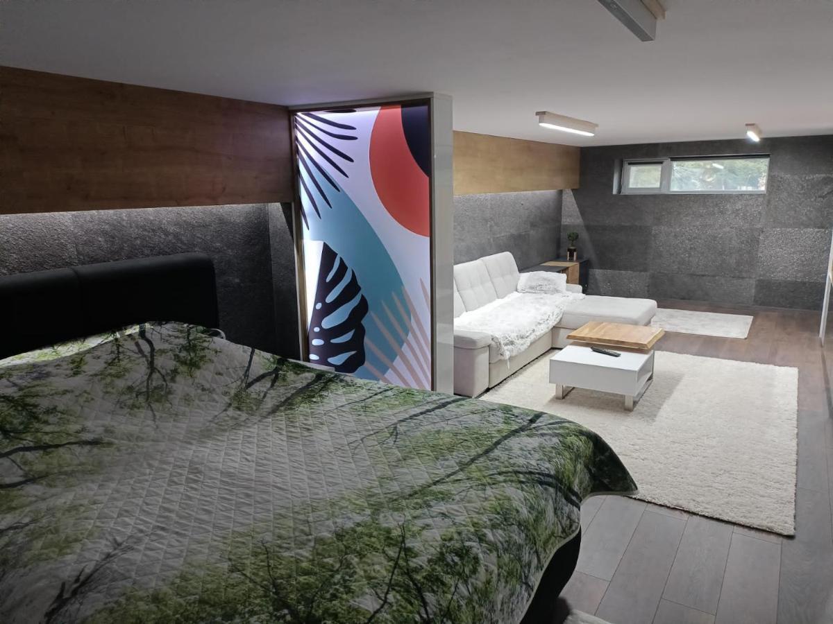 New Apartment Apartament Modern Recent Construit Modern Ujepitesu Tarsashazi Lakresz 미에르쿠리에씨우크 외부 사진