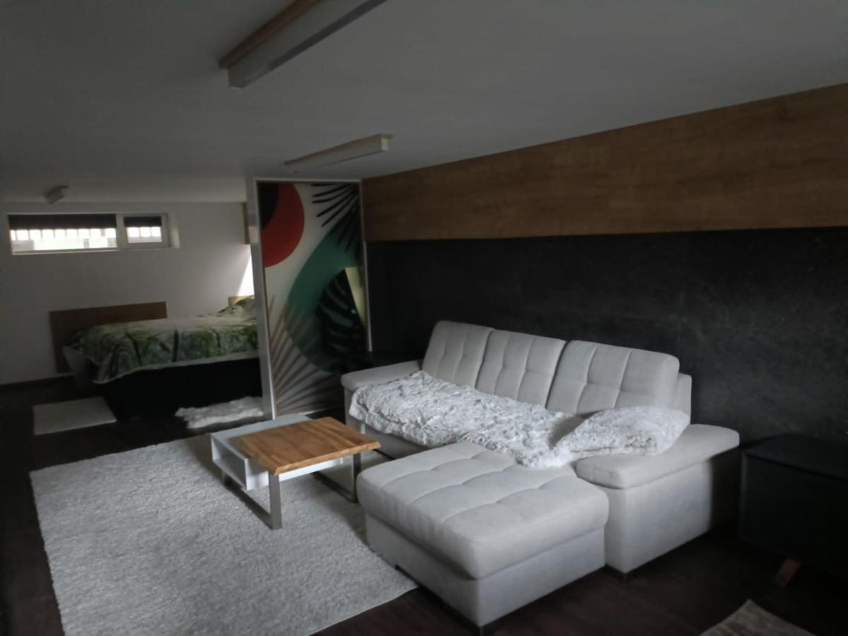 New Apartment Apartament Modern Recent Construit Modern Ujepitesu Tarsashazi Lakresz 미에르쿠리에씨우크 외부 사진